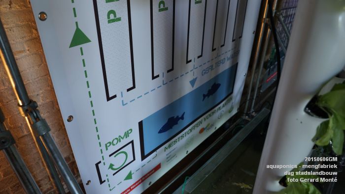 DSC01015- aquaponics in mengfabriek - dag stadslandbouw - 6juni2015 - foto GerardMontE web