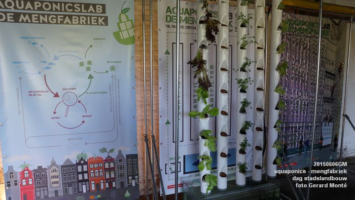 DSC01017- aquaponics in mengfabriek - dag stadslandbouw - 6juni2015 - foto GerardMontE web