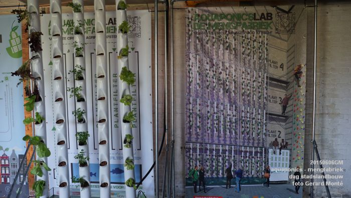 DSC01022- aquaponics in mengfabriek - dag stadslandbouw - 6juni2015 - foto GerardMontE web