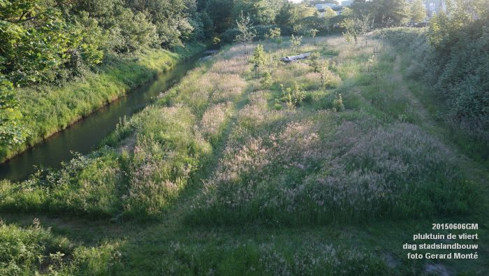 DSC01745- pluktuin de vliert - dag stadslandbouw - 6juni2015 - foto GerardMontE web