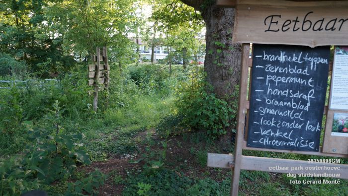 DSC01747- eetbaar park oosterhoeve - dag stadslandbouw - 6juni2015 - foto GerardMontE web