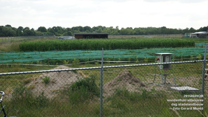 DSC01834- voedseltuin villanueva - dag stadslandbouw - 9juni2015 - foto GerardMontE web