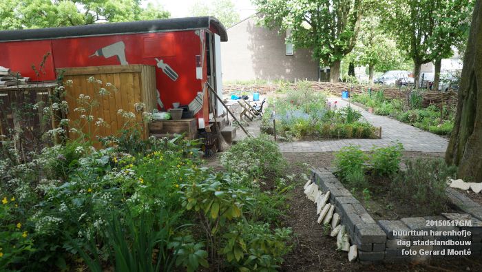 aDSC06270- buurttuin harenhofje dag stadslandbouw - 17mei2015 - foto GerardMontE