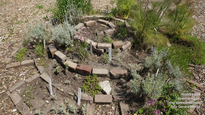 bDSC00417- Boschveldtuin - dag stadslandbouw - 4juni2015 - foto GerardMontE web