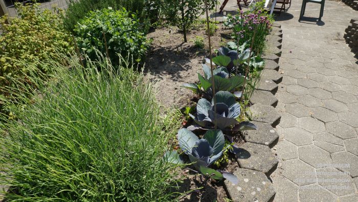 bDSC00432- Copernicus-tuin - dag stadslandbouw - 4juni2015 - foto GerardMontE web