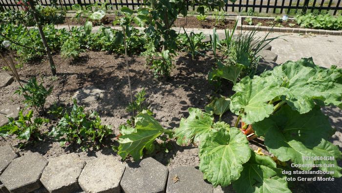 bDSC00433- Copernicus-tuin - dag stadslandbouw - 4juni2015 - foto GerardMontE web