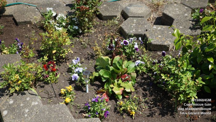 bDSC00435- Copernicus-tuin - dag stadslandbouw - 4juni2015 - foto GerardMontE web
