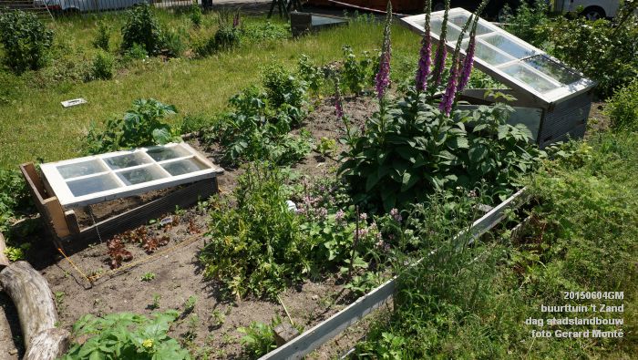 bDSC00439- buurttuin 