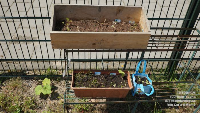 bDSC00441- buurttuin 