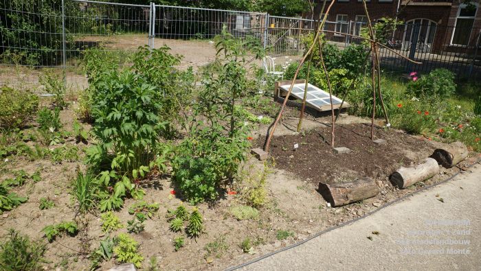 bDSC00443- buurttuin 