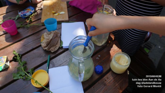 bDSC00449- tuin-les bbs Aan de Aa - dag stadslandbouw - 4juni2015 - foto GerardMontE web