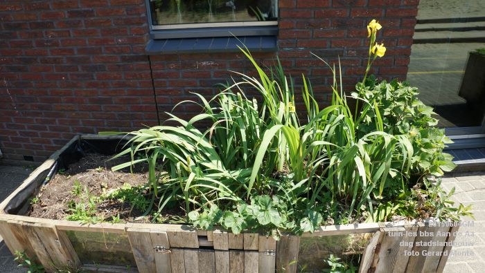 bDSC00455- tuin-les bbs Aan de Aa - dag stadslandbouw - 4juni2015 - foto GerardMontE web