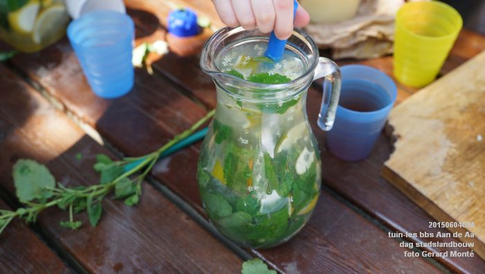 bDSC00461- tuin-les bbs Aan de Aa - dag stadslandbouw - 4juni2015 - foto GerardMontE web