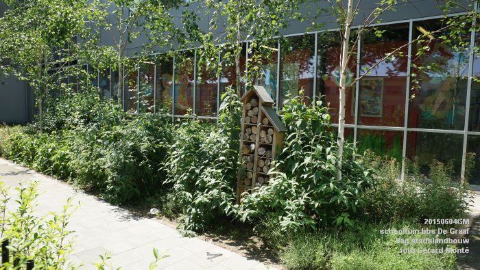 bDSC00475- schooltuin bbs De Graaf - dag stadslandbouw - 4juni2015 - foto GerardMontE web