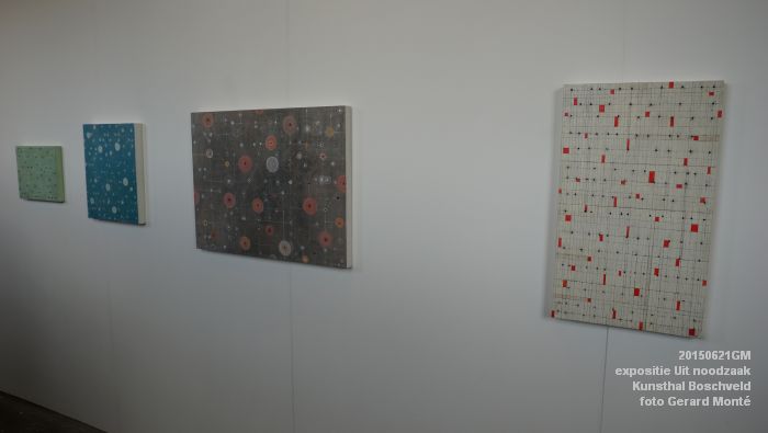 DSC01932- expositie Uit noodzaak - Kunsthal Boschveld - 21juni2015 - foto GerardMontE web