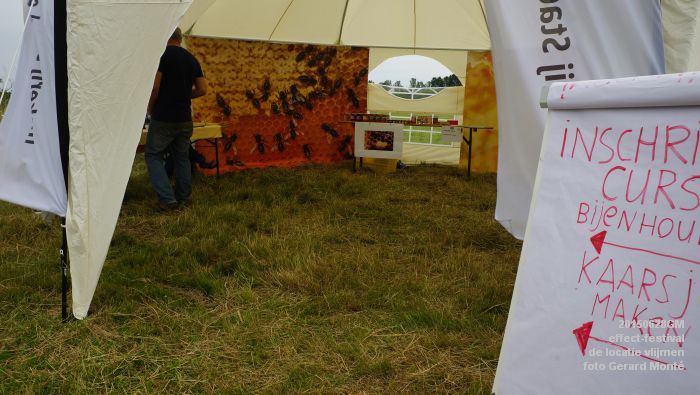 DSC03889-  effect-festival - de locatie vlijmen - zondag - 28juni2015 - foto GerardMontE web