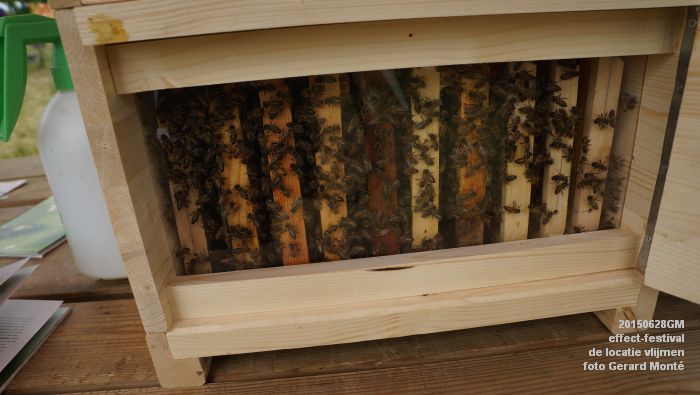 DSC03891-  effect-festival - de locatie vlijmen - zondag - 28juni2015 - foto GerardMontE web