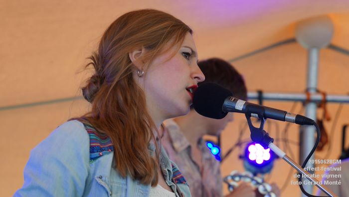 DSC03978-  effect-festival - de locatie vlijmen - zondag - 28juni2015 - foto GerardMontE web