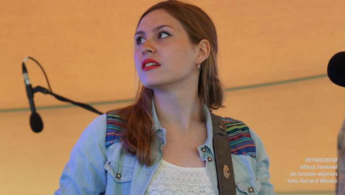 DSC03979-  effect-festival - de locatie vlijmen - zondag - 28juni2015 - foto GerardMontE web