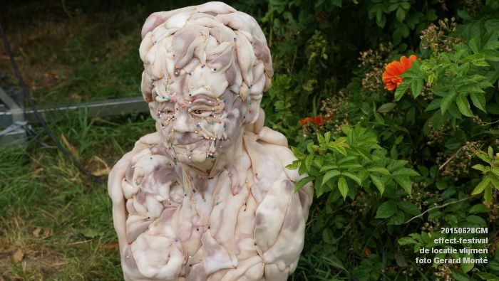 DSC04003-  effect-festival - de locatie vlijmen - zondag - 28juni2015 - foto GerardMontE web