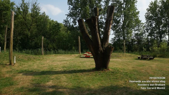 DSC06153- Haanwijk Brabantse vlag - Hoeders van Brabant - 3juli2015 - foto GerardMontE web