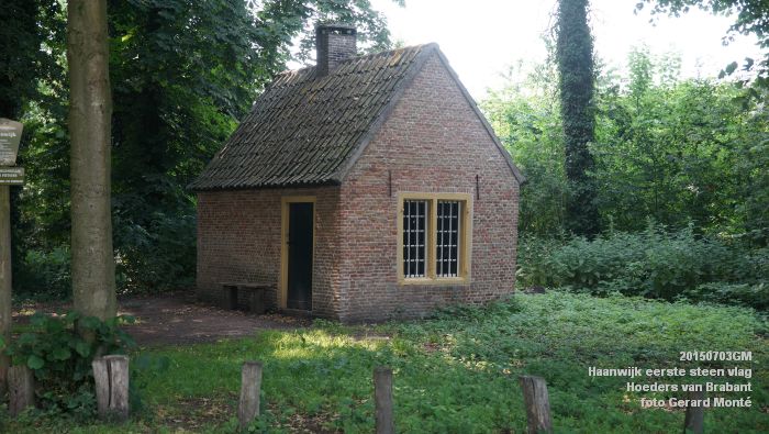 DSC06167- Haanwijk Brabantse vlag - Hoeders van Brabant - 3juli2015 - foto GerardMontE web
