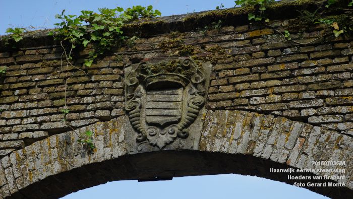 DSC06170- Haanwijk Brabantse vlag - Hoeders van Brabant - 3juli2015 - foto GerardMontE web
