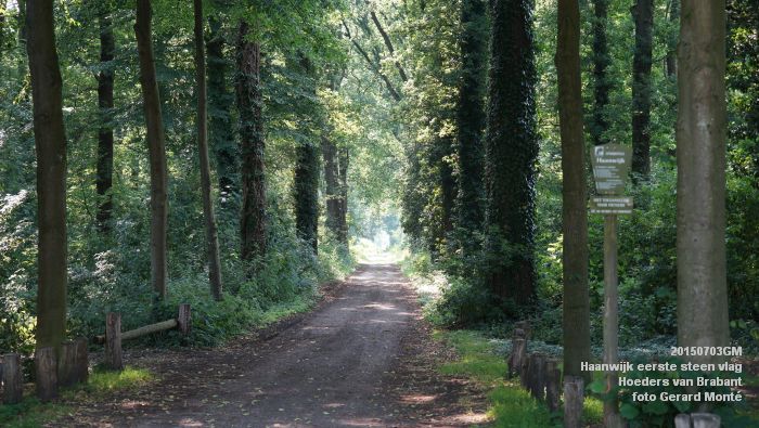 DSC06171- Haanwijk Brabantse vlag - Hoeders van Brabant - 3juli2015 - foto GerardMontE web