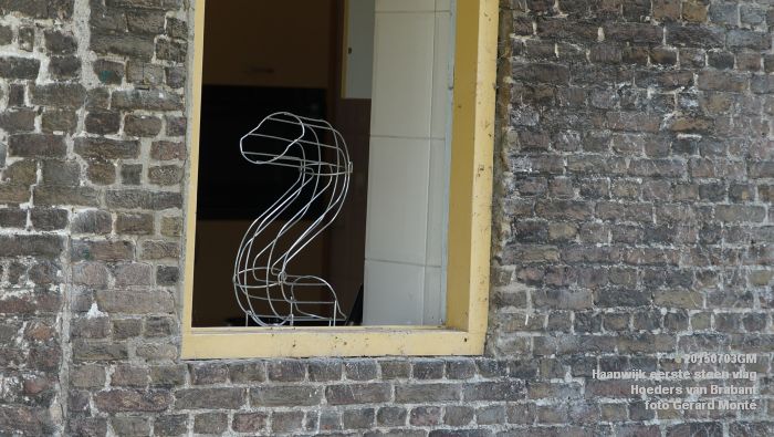 DSC06182- Haanwijk Brabantse vlag - Hoeders van Brabant - 3juli2015 - foto GerardMontE web