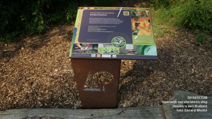 DSC06184- Haanwijk Brabantse vlag - Hoeders van Brabant - 3juli2015 - foto GerardMontE web