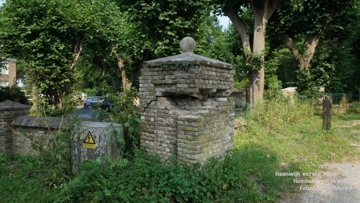 DSC06185- Haanwijk Brabantse vlag - Hoeders van Brabant - 3juli2015 - foto GerardMontE web