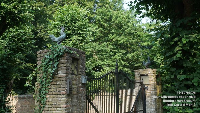 DSC06188- Haanwijk Brabantse vlag - Hoeders van Brabant - 3juli2015 - foto GerardMontE web