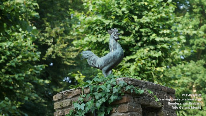 DSC06189- Haanwijk Brabantse vlag - Hoeders van Brabant - 3juli2015 - foto GerardMontE web