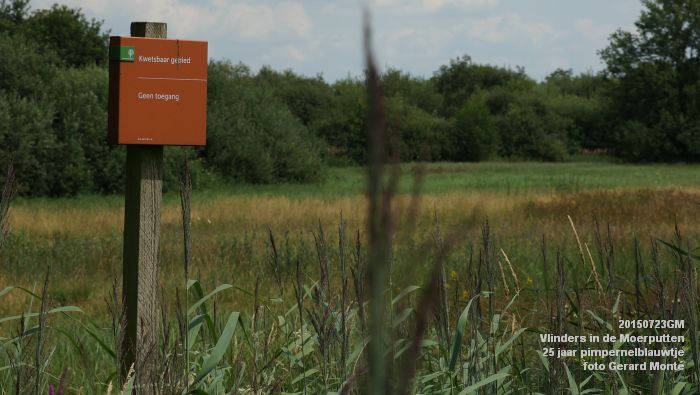 DSC00084- Vlinders in de Moerputten - 25 jaar pimpernelblauwtje - 23juli2015 - foto GerardMontE web DSC00084- Vlinders in de Moerputten - 25 jaar pimpernelblauwtje - 23juli2015 - foto GerardMontE web