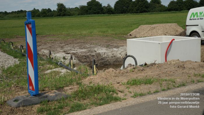 DSC00166- Vlinders in de Moerputten - 25 jaar pimpernelblauwtje - 23juli2015 - foto GerardMontE web DSC00166- Vlinders in de Moerputten - 25 jaar pimpernelblauwtje - 23juli2015 - foto GerardMontE web