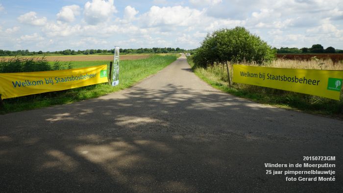 cDSC09966- Vlinders in de Moerputten - 25 jaar pimpernelblauwtje - 23juli2015 - foto GerardMontE web cDSC09966- Vlinders in de Moerputten - 25 jaar pimpernelblauwtje - 23juli2015 - foto GerardMontE web