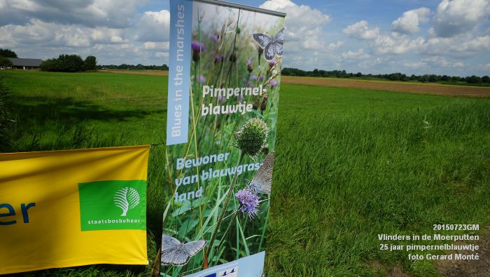 cDSC09967- Vlinders in de Moerputten - 25 jaar pimpernelblauwtje - 23juli2015 - foto GerardMontE web cDSC09967- Vlinders in de Moerputten - 25 jaar pimpernelblauwtje - 23juli2015 - foto GerardMontE web