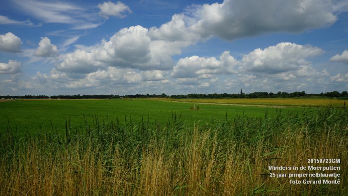 cDSC09972- Vlinders in de Moerputten - 25 jaar pimpernelblauwtje - 23juli2015 - foto GerardMontE web cDSC09972- Vlinders in de Moerputten - 25 jaar pimpernelblauwtje - 23juli2015 - foto GerardMontE web