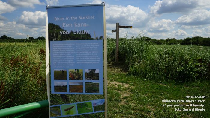 cDSC09977- Vlinders in de Moerputten - 25 jaar pimpernelblauwtje - 23juli2015 - foto GerardMontE web cDSC09977- Vlinders in de Moerputten - 25 jaar pimpernelblauwtje - 23juli2015 - foto GerardMontE web