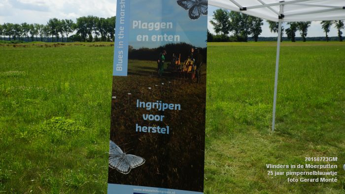 cDSC09978- Vlinders in de Moerputten - 25 jaar pimpernelblauwtje - 23juli2015 - foto GerardMontE web cDSC09978- Vlinders in de Moerputten - 25 jaar pimpernelblauwtje - 23juli2015 - foto GerardMontE web