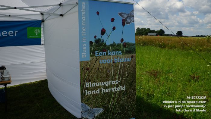 cDSC09979- Vlinders in de Moerputten - 25 jaar pimpernelblauwtje - 23juli2015 - foto GerardMontE web cDSC09979- Vlinders in de Moerputten - 25 jaar pimpernelblauwtje - 23juli2015 - foto GerardMontE web