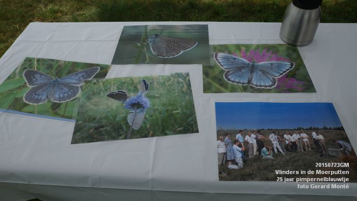 cDSC09980- Vlinders in de Moerputten - 25 jaar pimpernelblauwtje - 23juli2015 - foto GerardMontE web cDSC09980- Vlinders in de Moerputten - 25 jaar pimpernelblauwtje - 23juli2015 - foto GerardMontE web