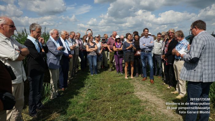 cDSC09988- Vlinders in de Moerputten - 25 jaar pimpernelblauwtje - 23juli2015 - foto GerardMontE web cDSC09988- Vlinders in de Moerputten - 25 jaar pimpernelblauwtje - 23juli2015 - foto GerardMontE web