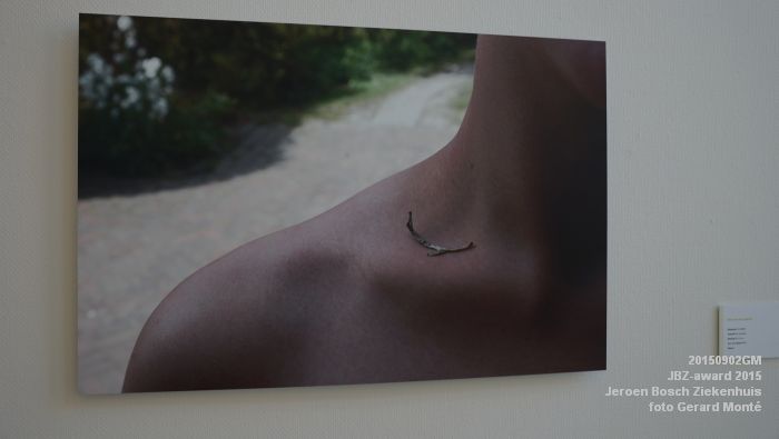 DSC05757-DSC05707- JBZ-award 2015 - Jeroen Bosch Ziekenhuis - 2sep2015 - foto GerardMontE web