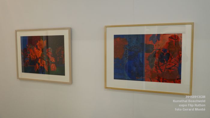 DSC08903- Kunsthal Boschveld - expo Flip Rutten - 13sep2015 - foto Gerard MontE web