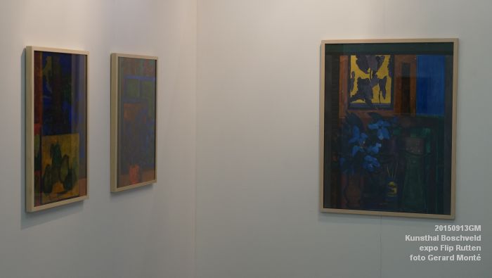 DSC08916- Kunsthal Boschveld - expo Flip Rutten - 13sep2015 - foto Gerard MontE web