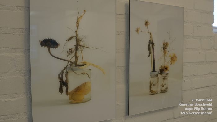 DSC08937- Kunsthal Boschveld - expo Flip Rutten - 13sep2015 - foto Gerard MontE web
