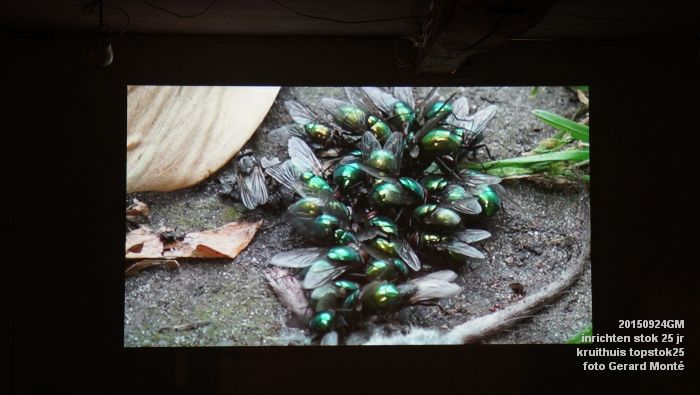 DSC00952- INRICHTEN stok 25 jaar kruithuis topstok 25 - 24sep2015 - foto GerardMontE web DSC00952- INRICHTEN stok 25 jaar kruithuis topstok 25 - 24sep2015 - foto GerardMontE web