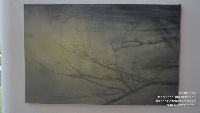 DSC05533- Jeroen Bosch-ziekenhuis - Het binnenland betreden - 14okt2015 - foto GerardMontE web