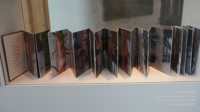 DSC05537- Jeroen Bosch-ziekenhuis - Het binnenland betreden - 14okt2015 - foto GerardMontE web